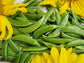 Sugar Daddy Snap Pea Seeds