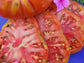 Texwine Beefsteak Tomato Seeds