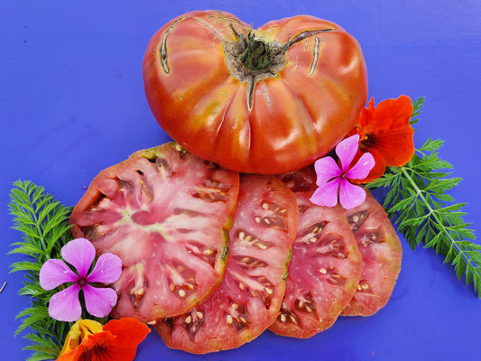 Texwine Beefsteak Tomato Seeds