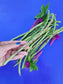 Thai Soldier Long Bean Seeds