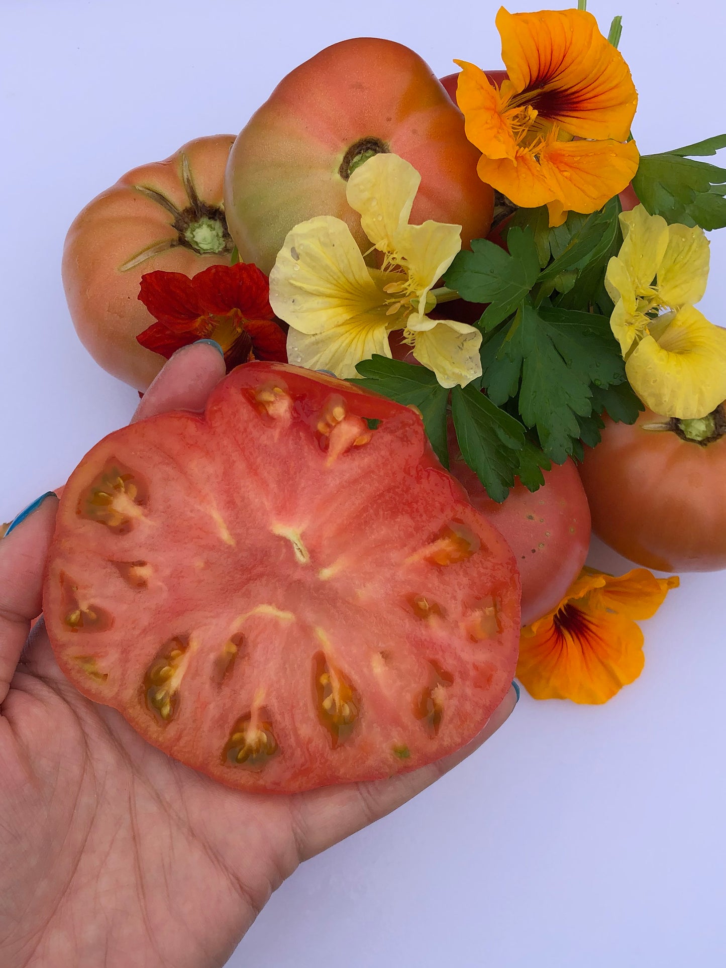 Climbing Triple L Crop aka Italian Tree Tomato