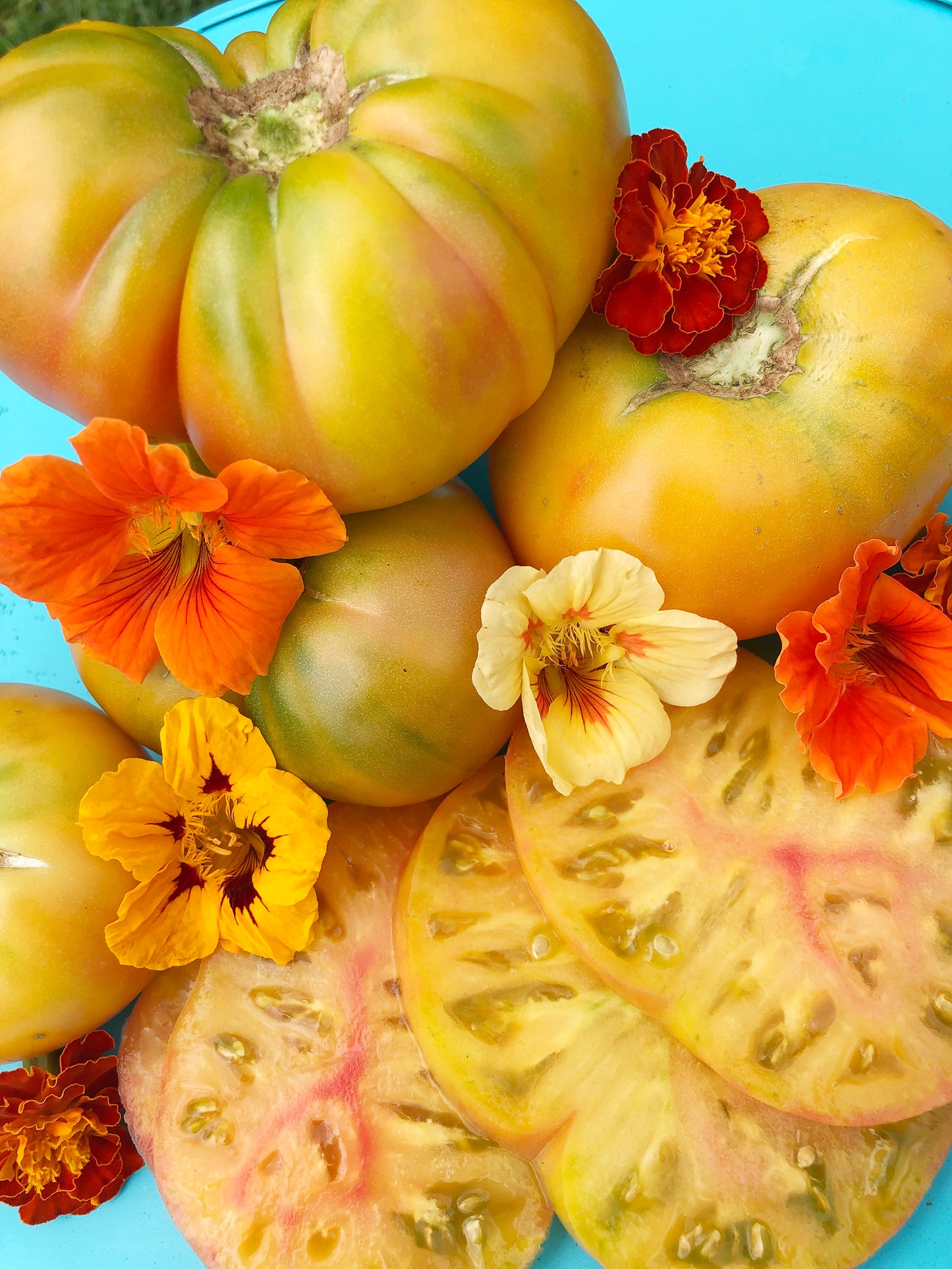 Virginia Sweets Tomato Seeds