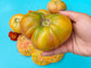 Virginia Sweets Tomato Seeds