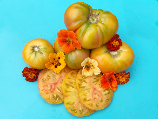 Virginia Sweets Tomato Seeds